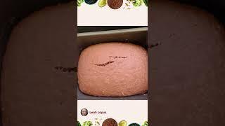 DARK CHOCOLATE OATMEAL BREAD
