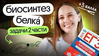  Биосинтез белка | задачи линии 27 | вторая часть ЕГЭ по биологии 2025