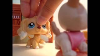 LPS: Undercover Nerd: Part One: Remade