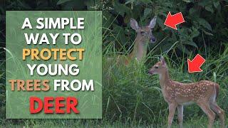 Protect Your Young TREES from DEER - Fall Garden Tips