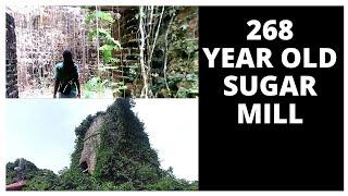 268 YEAR OLD SLAVERY SUGAR MILL FOUND IN ST THOMAS, JAMAICA (Oxford tower)