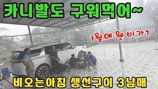 베트남시골 한국인이 살아가는 이야기 /물고기농사 대규모벼농사 자식농사끼지~! (kiengiangtv)