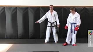 Basic Frame Work for Sparring by Carl Van Roon