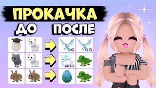 КАК ПРОКАЧАТЬСЯ В АДОПТ МИ С НУЛЯ!? ОТ НУБА ДО ПРО! | Adopt me Roblox