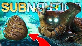 HATCHING THE SEA EMPEROR'S EGGS?! (Subnautica Full Release Gameplay)