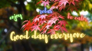Good day everyone  - The Best Calming Music #relax #meditation #calmingmusic