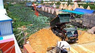 Dump truck wheel 10 unloading soil filling up with Bulldozer pushing soil into the water delete pond