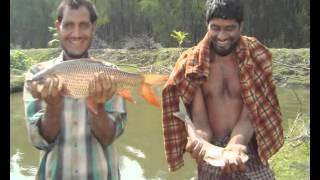 Bangladesh climate change adaptation