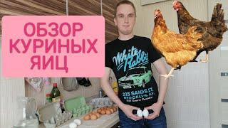 Куриные яйца польза и вред/Какие яйца бывают