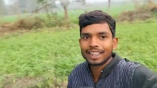 My Second Vlog l Ankit m vlog l