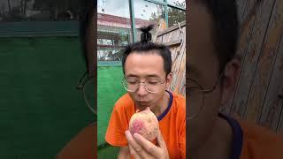 路边的果子要怎么办？记住啦？#启蒙教育 #儿童教育