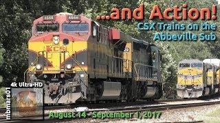 [5P][4k] ... and Action! CSX Trains on the Abbeville Sub, GA, 08/14-09/01/2017 ©mbmars01