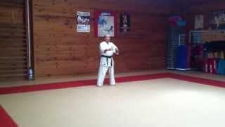 Kata Sushiho Karate Kyokushin