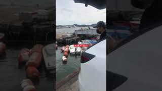 테슬라 캠핑모드 사용법 ㅋ 모델Y 스탠다드
