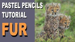 How to Draw / Paint Fur with Pastel Pencils ~ Tips and Technique. Narrated Tutorial