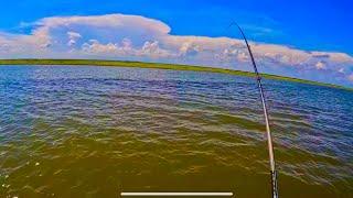 Catching redfish and speckled trout on shallow rocks jetties!