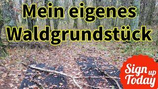 Eigenen Wald gekauft Privatwald