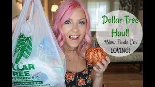 Dollar Tree Haul!| My NEW Finds at Dollar Tree| Megan Navarro #dollartreehaul