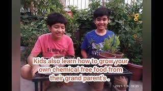 How to Enjoy Retirement life | Organic rooftop Gardening | दिल्ली की छत |  Green Vegetables |