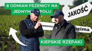 CEL: JAKOŚCIÓWKA, DWA SYSTEMY OCHRONY I PLAN NA WIOSNĘ - #321 nawozy nonstop