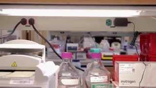 J. Craig Venter Institute, Net Zero Energy Laboratory - Measurement, Plug Loads and Freezers