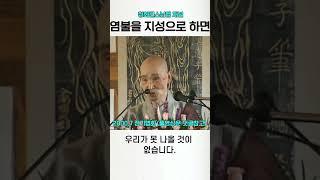 나무아미타불 염불을 지성으로 하면 청화스님