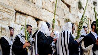 The Wailing Wall in Jerusalem - Sights and Sounds