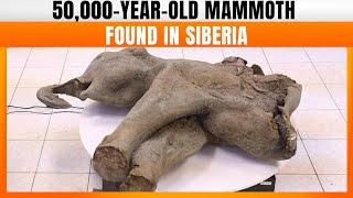 50,000-Year-Old Mammoth Remains Discovered In Siberia | News9