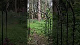 Mesmerising gate with arch and flowers in the woods