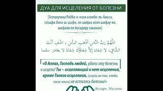 ДУА ОТ БОЛЕЗНИ