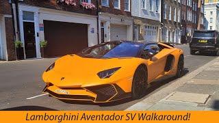 Lamborghini Aventador SV Walkaround!!