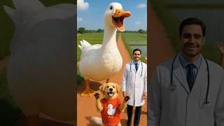 Poor Puppy Saves Duck Stuck in Haystack – Heartwarming and Funny Animal Rescue Story #puppy #duck