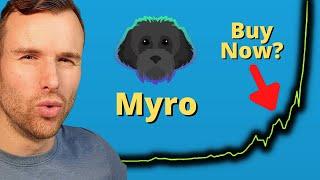 Why the Myro token is up  Crypto Memecoin Analysis