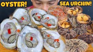 Talaba at Sea Urchin Mukbang Asmr | SeaFoods Mukbang | Filipino Food Mukbang Philippines