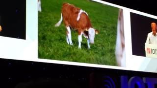 IoT FragmentTalks