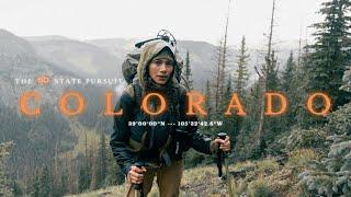 Bow Hunting for Elk and Mule Deer : Colorado : The 50 State Pursuit