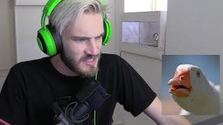 pewdiepie doesn't like me...