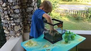 ReptiKid Reviews Zoo Med Creatures Habitat