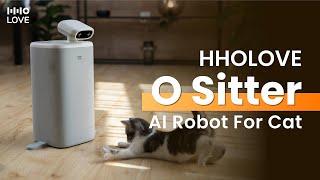 HHOLOVE O Sitter Review: The first and the Best companion AI robot for Cats