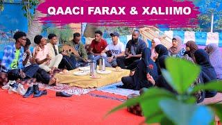 QAACI HEESO TALAN TALI AH || FARAX &XALIIMO WAXBAA KA DHACAY  