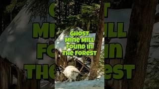 Rare Historic 1920 Abandoned Mine Mill Found! #mines #abandonedmines #mineexploring #ghosttown