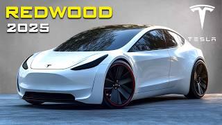 2025 Tesla Model 2: Meet The Cheapest Electric Car of the Future! Elon Musk's Latest Announces!!!