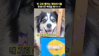 반 고흐 뺨치는 해바라기를 탄생시킨 역대급 화가ㄷㄷ