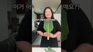 건강스무디 만들고 싶었을 뿐이고 1