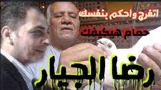 الحمامه الحلوه رزق من عند ربنا  فورجة حمام يكيفك #وصفي_العراقي #رضا_الجيار #وليد_زكريا_الاستاذ