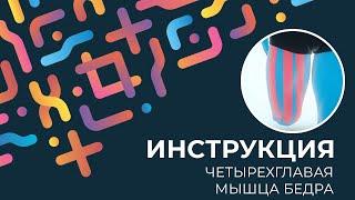 Kinexib - тейпирование четырехглавая мышца бедра