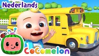 De Wielen van de Bus! | CoComelon Nederlands - Kinderliedjes