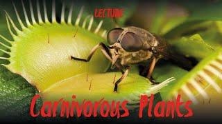 Most Spectacular Carnivorous Plants (lecture by Stewart McPherson)