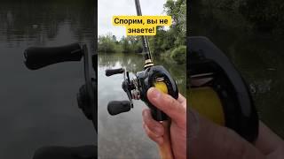 Спорим, вы не знаете! #fishing