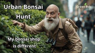 Bonsai Hunting in the City – A Hidden Treasure in the Hedges!